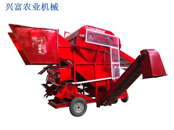 花生的，營(yíng)養(yǎng)的