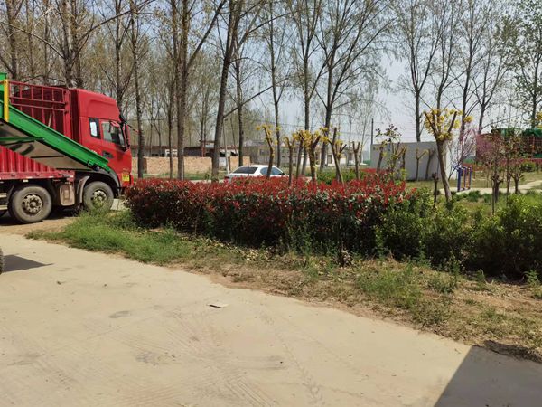 發(fā)貨現(xiàn)場(chǎng) 發(fā)貨現(xiàn)場(chǎng)